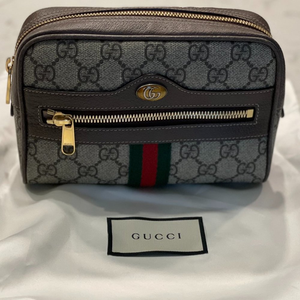Gucci Ophidia Belt Bag